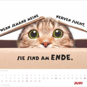 Mach mal Pause Bildkalender 2027: Flauschige Bürorebellen: Arbeitstiere und faule Katzen. Freche Sprüche und lustige Katzenfotos. Wandkalender. Format 30 x 27 cm – Bild 7