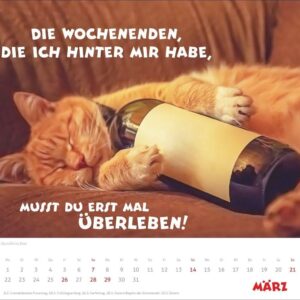 Mach mal Pause Bildkalender 2027: Flauschige Bürorebellen: Arbeitstiere und faule Katzen. Freche Sprüche und lustige Katzenfotos. Wandkalender. Format 30 x 27 cm – Bild 4