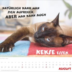 Mach mal Pause Bildkalender 2027: Flauschige Bürorebellen: Arbeitstiere und faule Katzen. Freche Sprüche und lustige Katzenfotos. Wandkalender. Format 30 x 27 cm – Bild 9