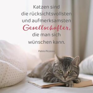 Abreißkalender Katzenweisheiten 2027: Für alle Katzenfans zum Aufstellen oder Aufhängen – Bild 6
