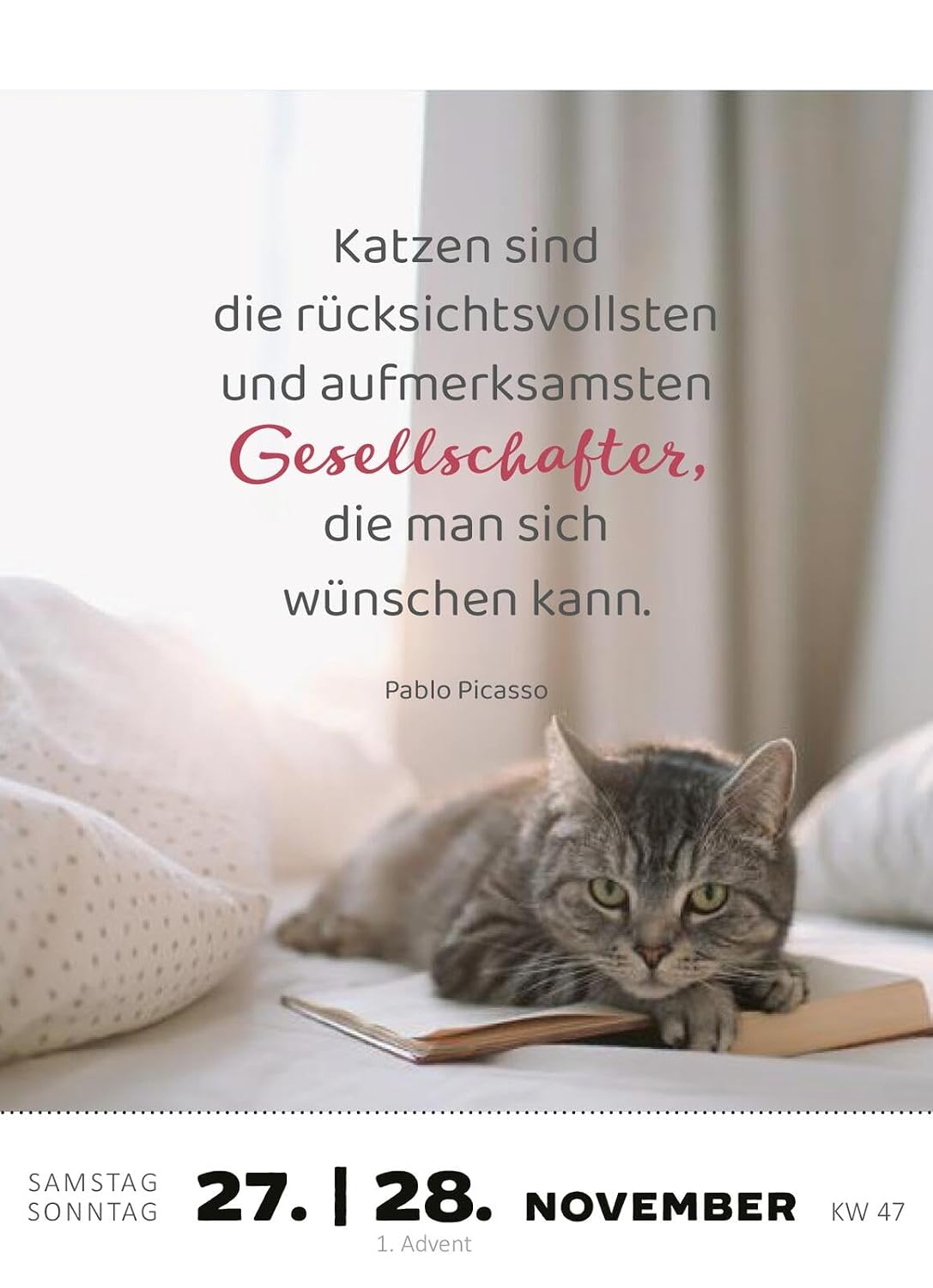 Abreißkalender Katzenweisheiten 2027: Für alle Katzenfans zum Aufstellen oder Aufhängen – Bild 6