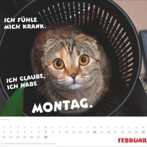Mach mal Pause Bildkalender 2027: Flauschige Bürorebellen: Arbeitstiere und faule Katzen. Freche Sprüche und lustige Katzenfotos. Wandkalender. Format 30 x 27 cm – Bild 3