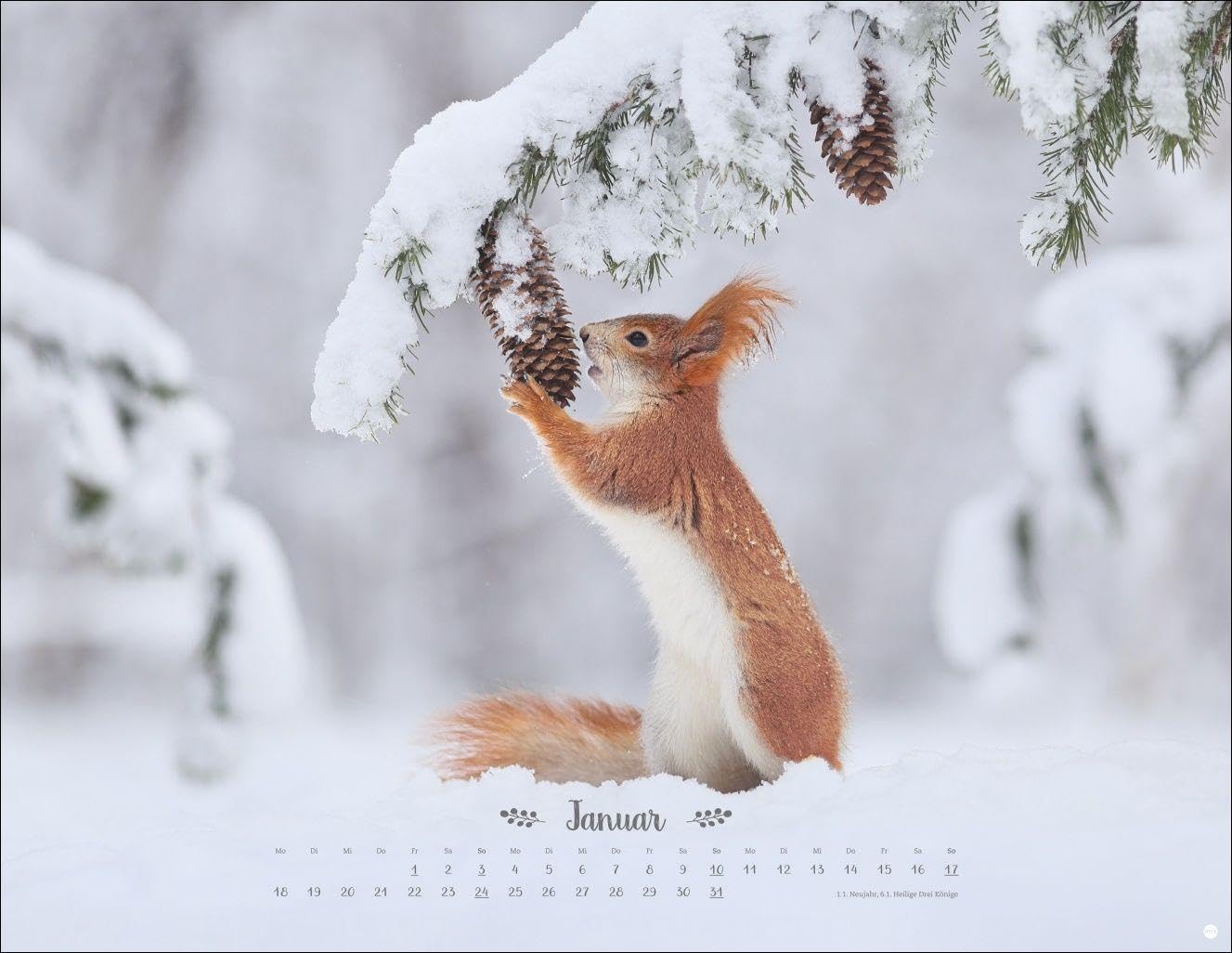 Vadim Trunov: Märchenhaftes Waldleben Posterkalender 2027: Naturkalender 2027 gestaltet mit Bildern des Naturfotografen Vadim Trunov. Fotokalender 2027 im Querformat. 44 x 34 cm. – Bild 2