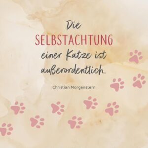 Abreißkalender Katzenweisheiten 2027: Für alle Katzenfans zum Aufstellen oder Aufhängen – Bild 4