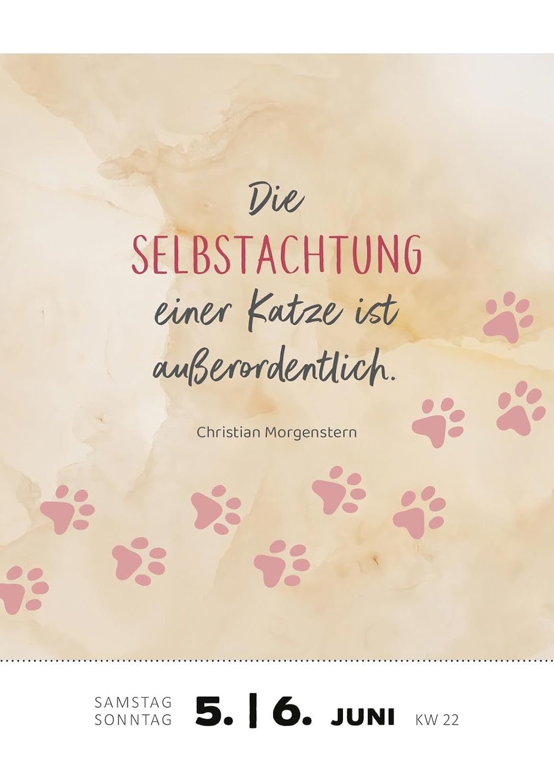 Abreißkalender Katzenweisheiten 2027: Für alle Katzenfans zum Aufstellen oder Aufhängen – Bild 4