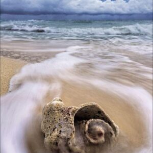 Spirit of Earth 2027: Schmaler Wandkalender. Foto-Kunstkalender über unsere atemberaubende Natur. PhotoArt Vertikal. 28,5 x 69 cm. – Bild 4