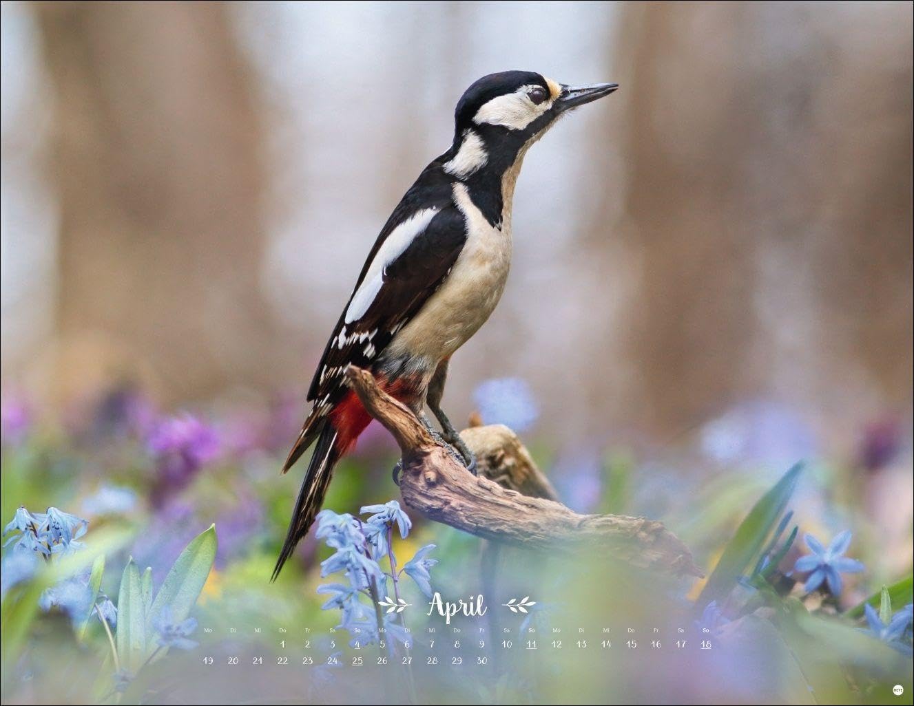 Vadim Trunov: Märchenhaftes Waldleben Posterkalender 2027: Naturkalender 2027 gestaltet mit Bildern des Naturfotografen Vadim Trunov. Fotokalender 2027 im Querformat. 44 x 34 cm. – Bild 5