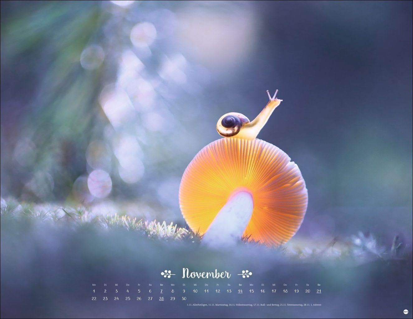 Vadim Trunov: Märchenhaftes Waldleben Posterkalender 2027: Naturkalender 2027 gestaltet mit Bildern des Naturfotografen Vadim Trunov. Fotokalender 2027 im Querformat. 44 x 34 cm. – Bild 12