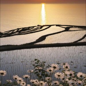 Spirit of Earth 2027: Schmaler Wandkalender. Foto-Kunstkalender über unsere atemberaubende Natur. PhotoArt Vertikal. 28,5 x 69 cm. – Bild 12