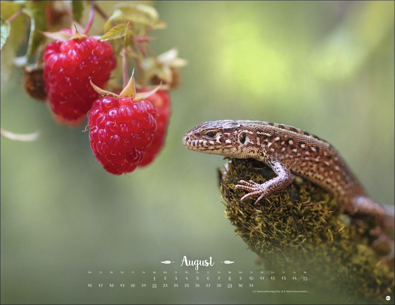 Vadim Trunov: Märchenhaftes Waldleben Posterkalender 2027: Naturkalender 2027 gestaltet mit Bildern des Naturfotografen Vadim Trunov. Fotokalender 2027 im Querformat. 44 x 34 cm. – Bild 9