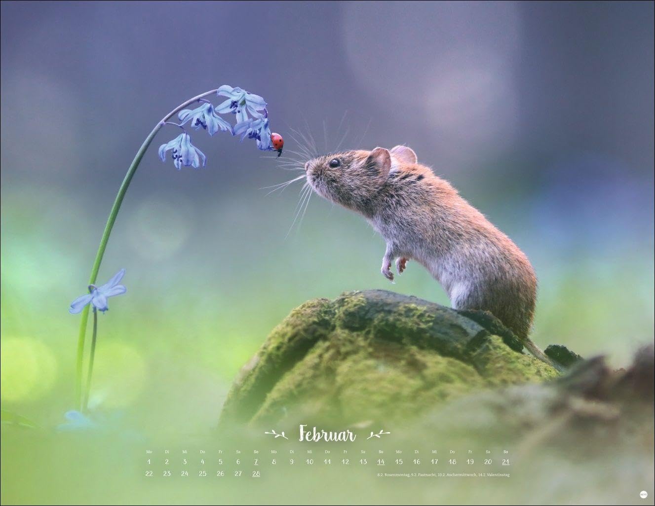 Vadim Trunov: Märchenhaftes Waldleben Posterkalender 2027: Naturkalender 2027 gestaltet mit Bildern des Naturfotografen Vadim Trunov. Fotokalender 2027 im Querformat. 44 x 34 cm. – Bild 3