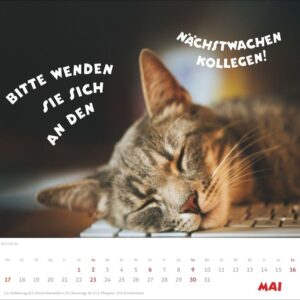 Mach mal Pause Bildkalender 2027: Flauschige Bürorebellen: Arbeitstiere und faule Katzen. Freche Sprüche und lustige Katzenfotos. Wandkalender. Format 30 x 27 cm – Bild 6