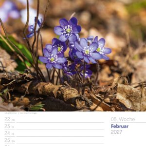 Unser Wald Wochenplaner Kalender 2027: Heimischer Natur-Wochenkalender im Hochformat (25x33 cm) | Mit Kreuzworträtseln, Sudokus & mehr – Bild 13