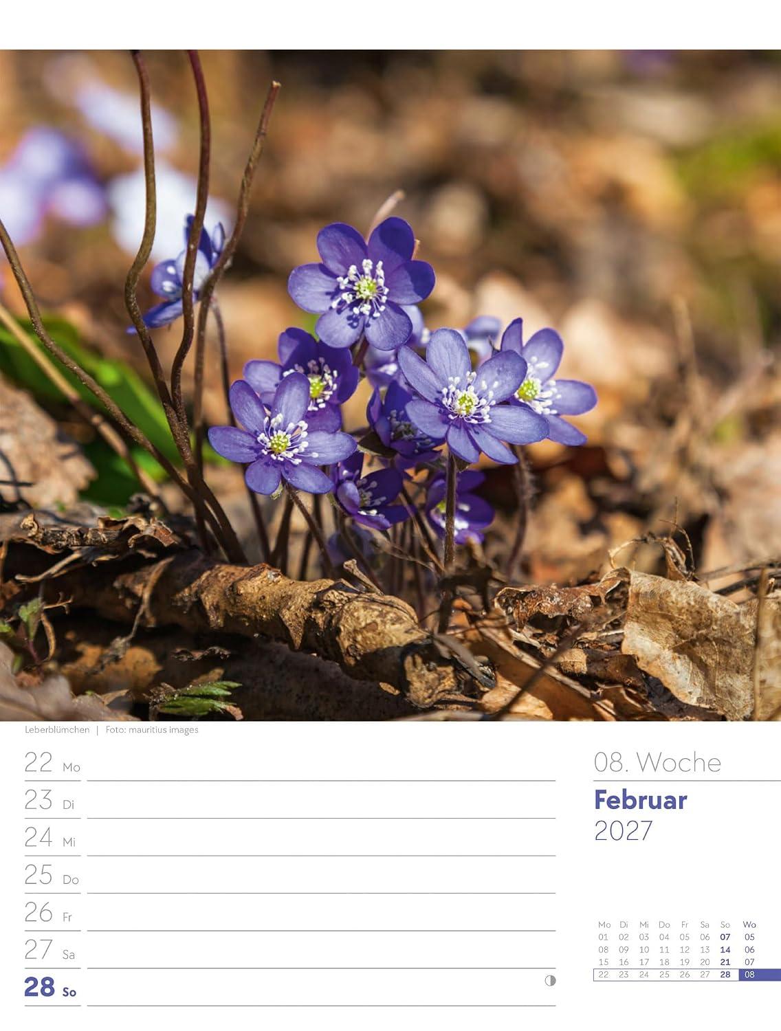 Unser Wald Wochenplaner Kalender 2027: Heimischer Natur-Wochenkalender im Hochformat (25x33 cm) | Mit Kreuzworträtseln, Sudokus & mehr – Bild 13