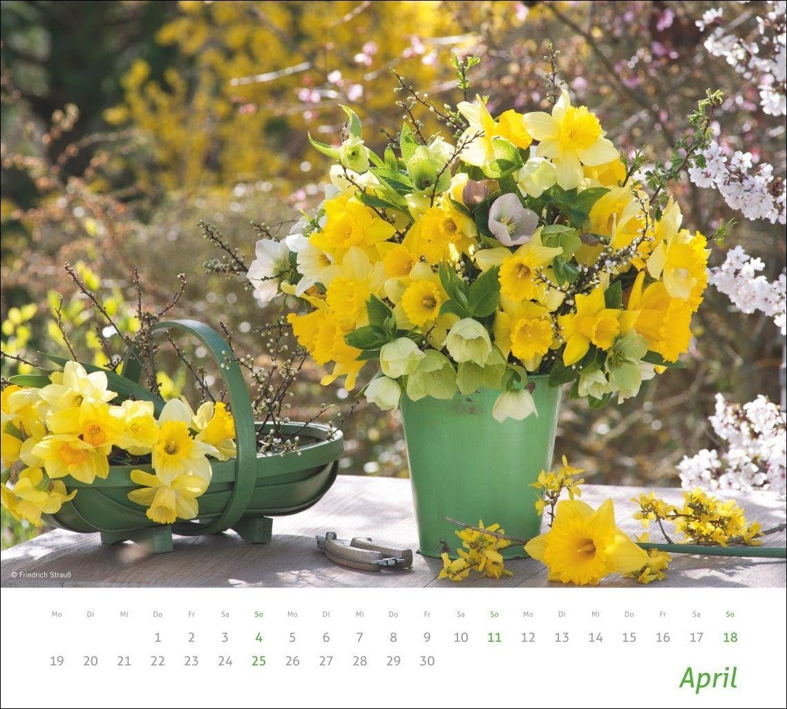 times&more Blumen Bildkalender 2027: Posterkalender mit 12 Fotos wunderschöner Blumensträuße. Dekorativer Wand-Kalender mit Blumenfotos. 30 x 27 cm. – Bild 5