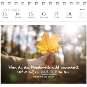 Postkartenkalender Ich wünsch dir was 2027: Wochenkalender 2027, 53 Postkarten mit vielen guten Wünschen – Bild 5