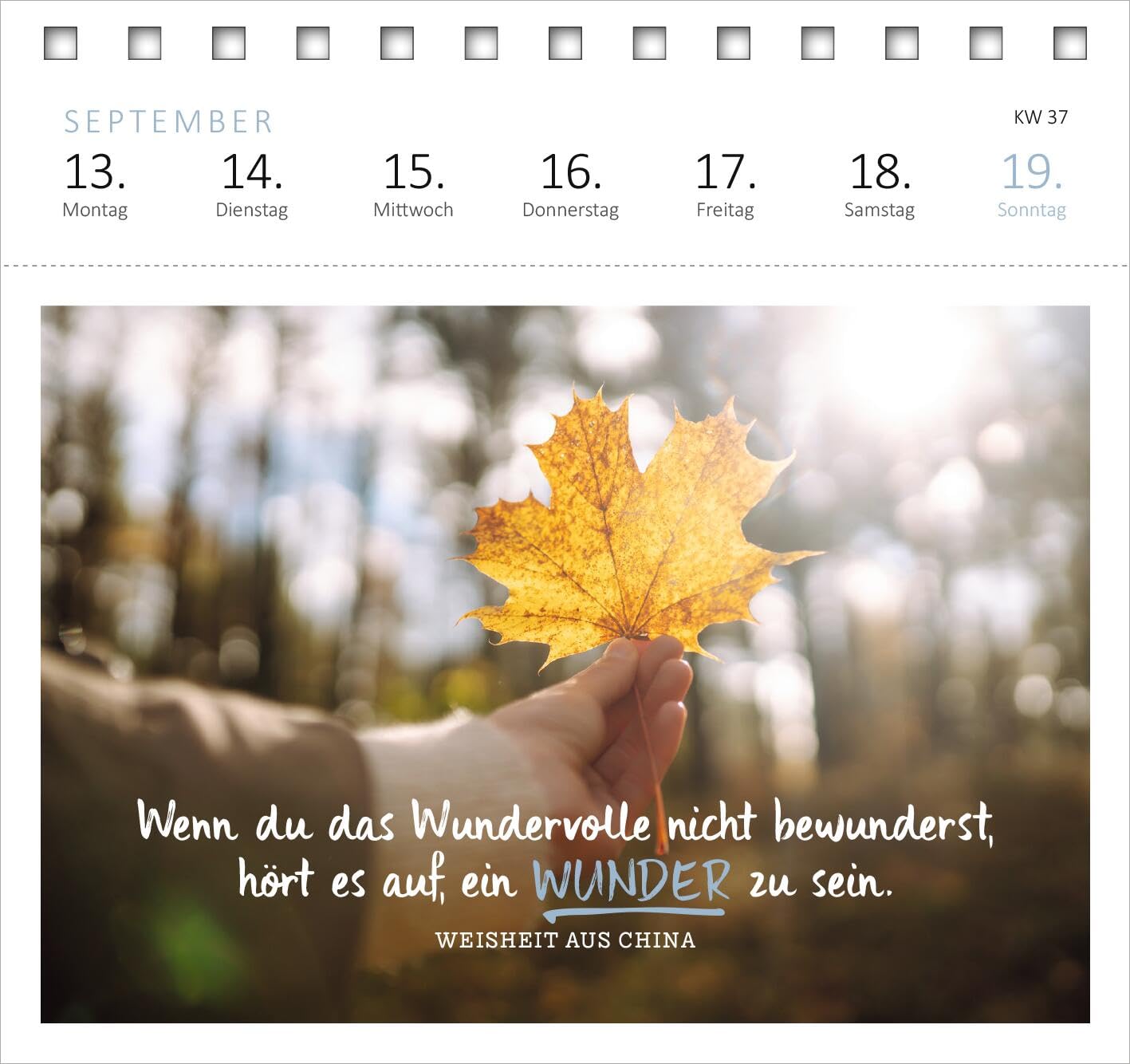 Postkartenkalender Ich wünsch dir was 2027: Wochenkalender 2027, 53 Postkarten mit vielen guten Wünschen – Bild 5