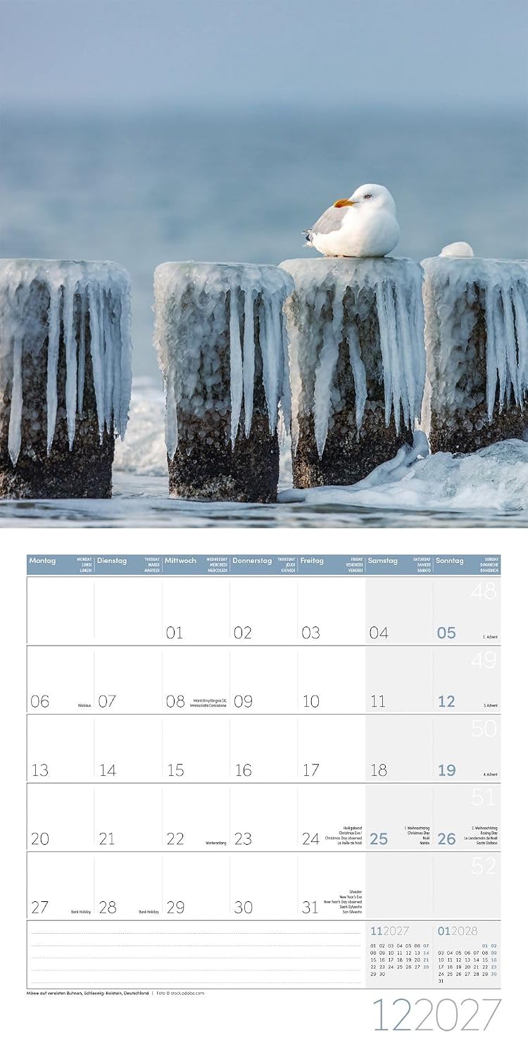 Am Meer Broschürenkalender 2027 - 30x30 - Art12 | Geschmackvoller Küsten-Kalender im schlanken Hochformat (aufgeklappt 30x60 cm) | zum Eintragen – Bild 13