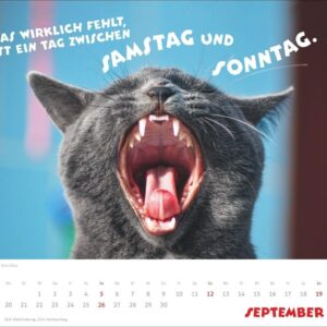 Mach mal Pause Bildkalender 2027: Flauschige Bürorebellen: Arbeitstiere und faule Katzen. Freche Sprüche und lustige Katzenfotos. Wandkalender. Format 30 x 27 cm – Bild 10