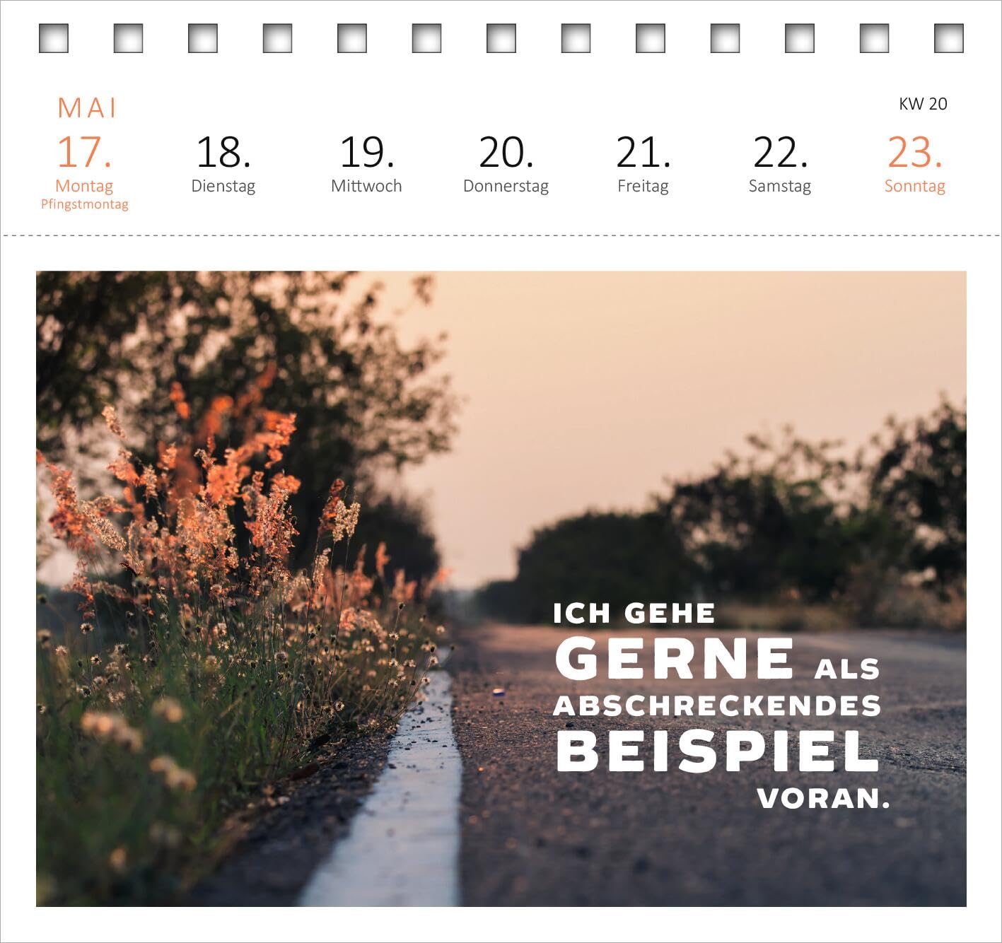 Postkartenkalender Vom Rande des Wahnsinns aus kenne ich den Weg, danke. 2027: Wochenkalender 2027, 53 Postkarten mit bösen Sprüchen – Bild 4