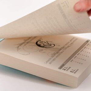 Unnützes Wissen Kalender 2027: Der überflüssige Abreißkalender mit skurrilen Fakten, die kein Mensch braucht – Bild 4
