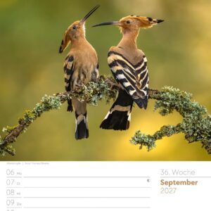 Unser Wald Wochenplaner Kalender 2027: Heimischer Natur-Wochenkalender im Hochformat (25x33 cm) | Mit Kreuzworträtseln, Sudokus & mehr – Bild 41