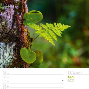 Unser Wald Wochenplaner Kalender 2027: Heimischer Natur-Wochenkalender im Hochformat (25x33 cm) | Mit Kreuzworträtseln, Sudokus & mehr – Bild 19