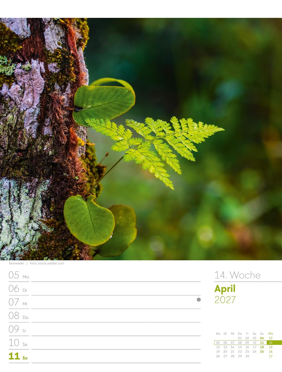 Unser Wald Wochenplaner Kalender 2027: Heimischer Natur-Wochenkalender im Hochformat (25x33 cm) | Mit Kreuzworträtseln, Sudokus & mehr – Bild 19