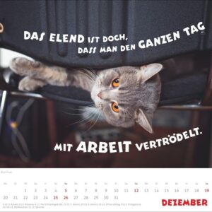 Mach mal Pause Bildkalender 2027: Flauschige Bürorebellen: Arbeitstiere und faule Katzen. Freche Sprüche und lustige Katzenfotos. Wandkalender. Format 30 x 27 cm – Bild 13