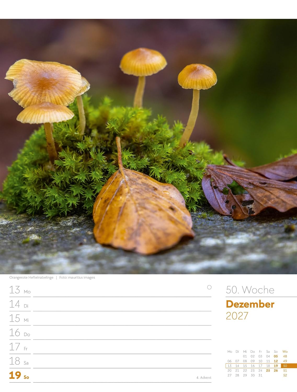 Unser Wald Wochenplaner Kalender 2027: Heimischer Natur-Wochenkalender im Hochformat (25x33 cm) | Mit Kreuzworträtseln, Sudokus & mehr – Bild 55
