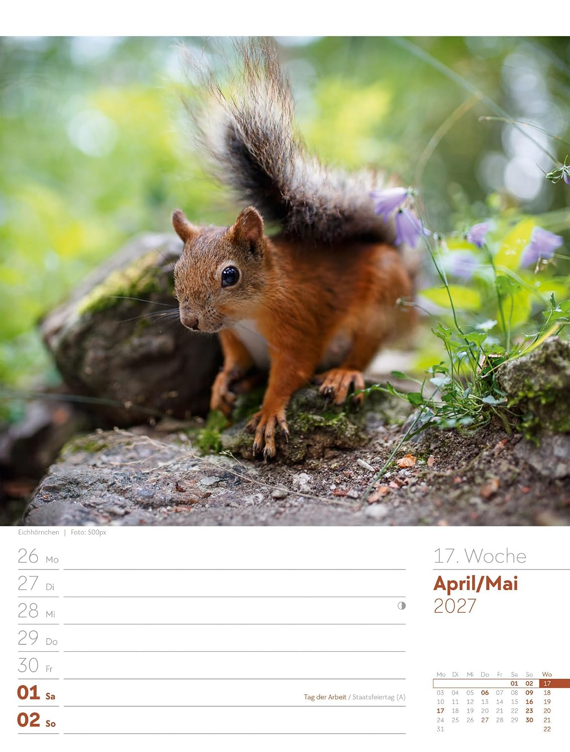 Unser Wald Wochenplaner Kalender 2027: Heimischer Natur-Wochenkalender im Hochformat (25x33 cm) | Mit Kreuzworträtseln, Sudokus & mehr – Bild 22