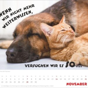 Mach mal Pause Bildkalender 2027: Flauschige Bürorebellen: Arbeitstiere und faule Katzen. Freche Sprüche und lustige Katzenfotos. Wandkalender. Format 30 x 27 cm – Bild 12