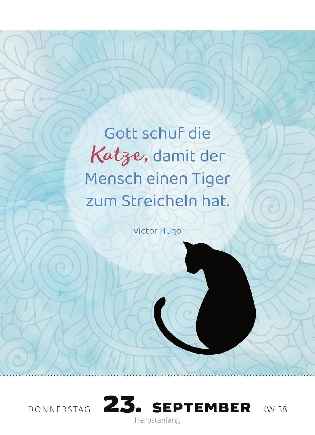 Abreißkalender Katzenweisheiten 2027: Für alle Katzenfans zum Aufstellen oder Aufhängen – Bild 5