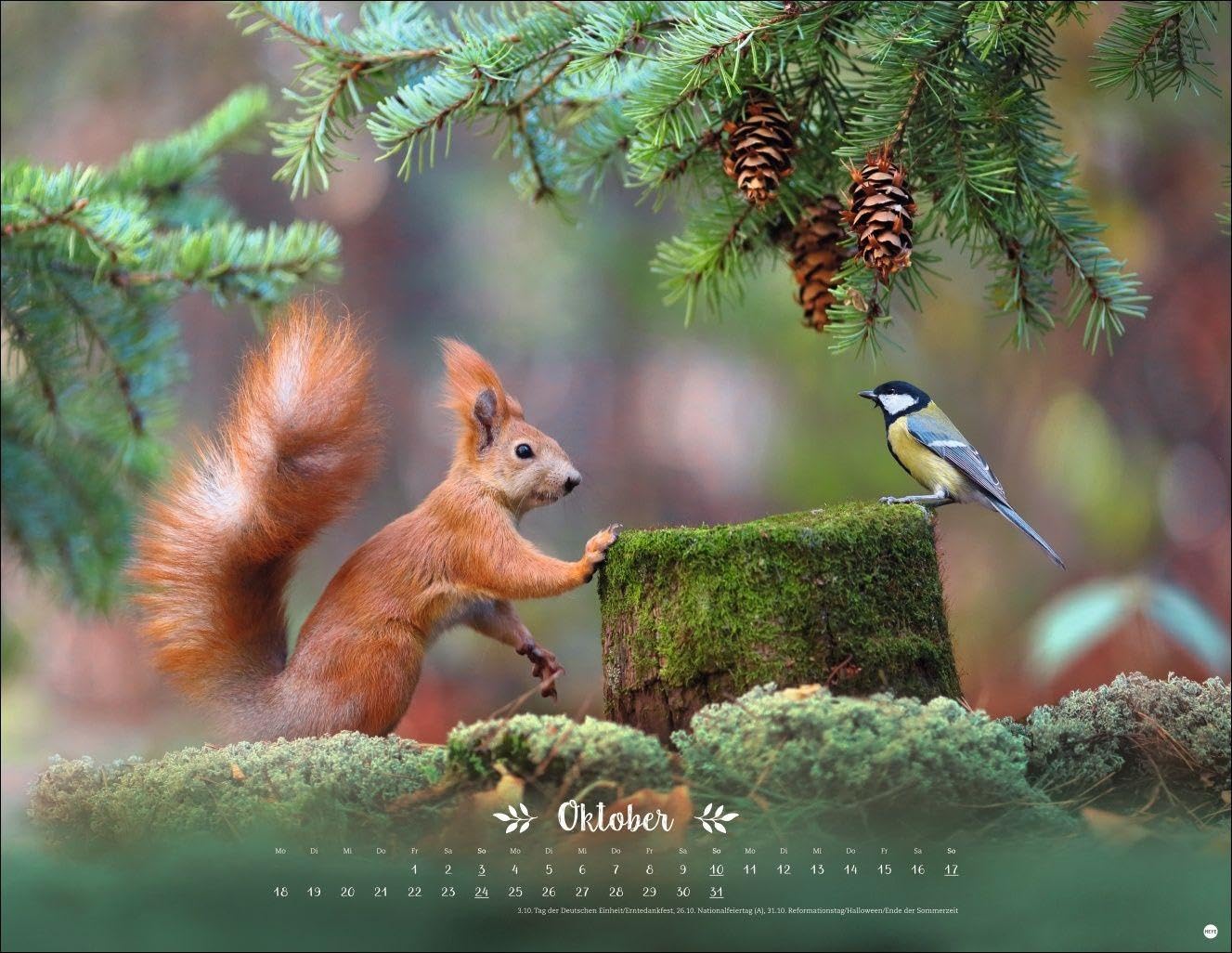 Vadim Trunov: Märchenhaftes Waldleben Posterkalender 2027: Naturkalender 2027 gestaltet mit Bildern des Naturfotografen Vadim Trunov. Fotokalender 2027 im Querformat. 44 x 34 cm. – Bild 11