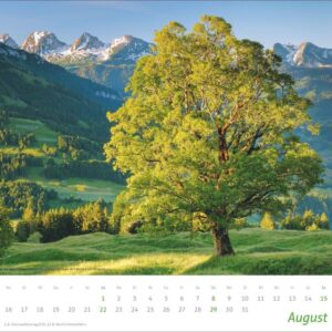 times&more Alpen Bildkalender 2027: Wandkalender mit beeindruckenden Fotos schroffer Gipfel und luftiger Höhen. Dekorativer Poster-Kalender für Bergfreunde. – Bild 9