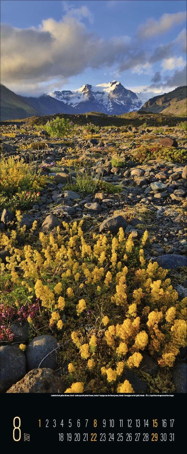Spirit of Earth 2027: Schmaler Wandkalender. Foto-Kunstkalender über unsere atemberaubende Natur. PhotoArt Vertikal. 28,5 x 69 cm. – Bild 9