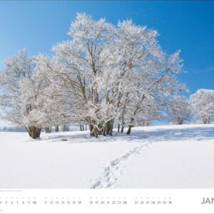 Alternative view of Auf Traumpfaden Posterkalender 2027: Großer Foto-Wandkalender. Landschafts-Kalender 2027 mit Fotos atemberaubender Wege. 44 x 34 cm. Querformat.