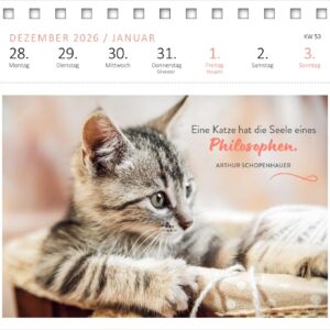 Alternative view of Postkartenkalender Katzenweisheiten 2027: Wochenkalender 2027, 53 Postkarten für Katzenfans