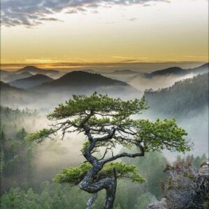 Spirit of Earth 2027: Schmaler Wandkalender. Foto-Kunstkalender über unsere atemberaubende Natur. PhotoArt Vertikal. 28,5 x 69 cm. – Bild 6