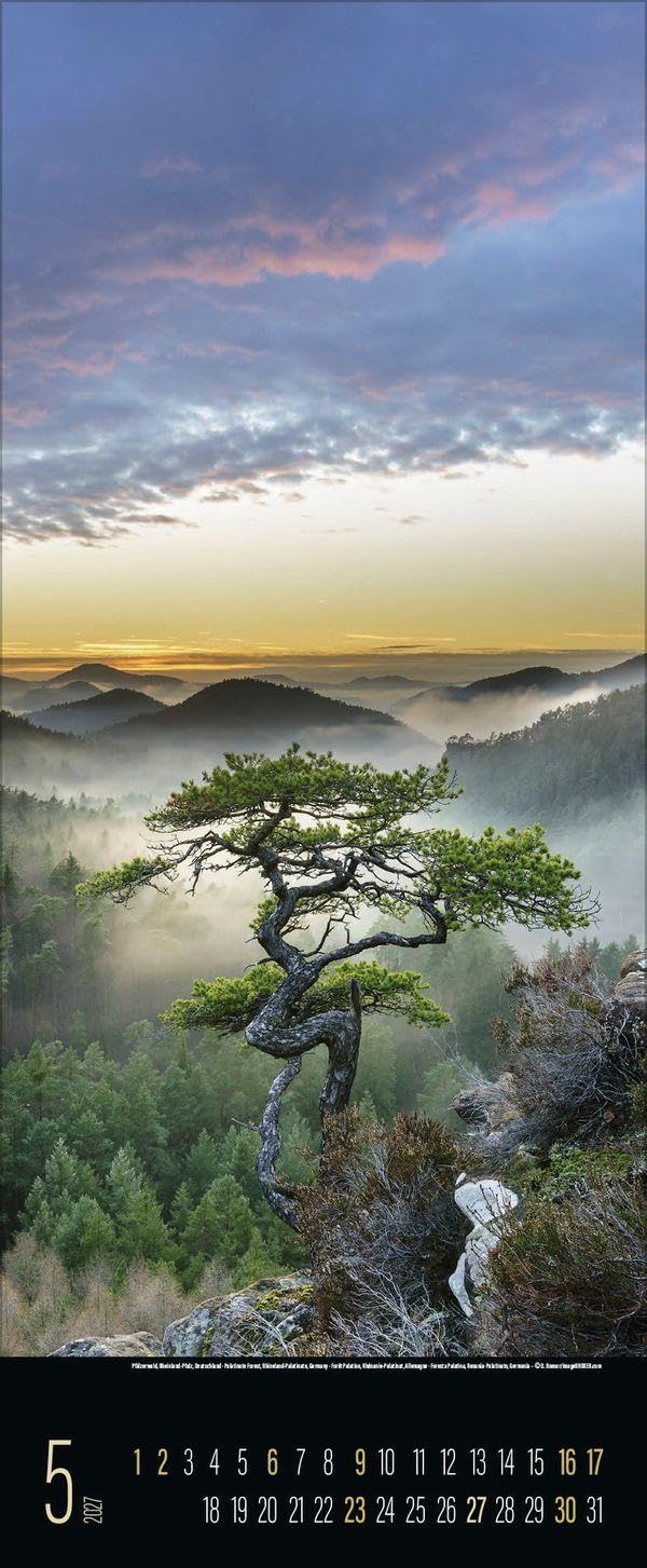 Spirit of Earth 2027: Schmaler Wandkalender. Foto-Kunstkalender über unsere atemberaubende Natur. PhotoArt Vertikal. 28,5 x 69 cm. – Bild 6