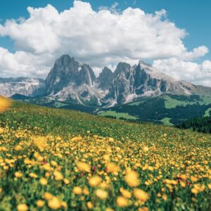 NOTIQUE Wall Calendar 2027 30 x 30 cm Natural Calendar - Alps – Bild 8