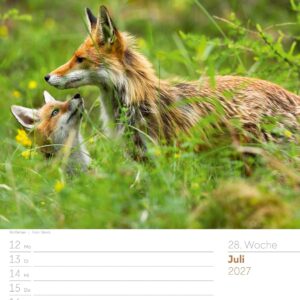 Unser Wald Wochenplaner Kalender 2027: Heimischer Natur-Wochenkalender im Hochformat (25x33 cm) | Mit Kreuzworträtseln, Sudokus & mehr – Bild 33