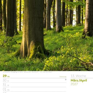 Unser Wald Wochenplaner Kalender 2027: Heimischer Natur-Wochenkalender im Hochformat (25x33 cm) | Mit Kreuzworträtseln, Sudokus & mehr – Bild 18