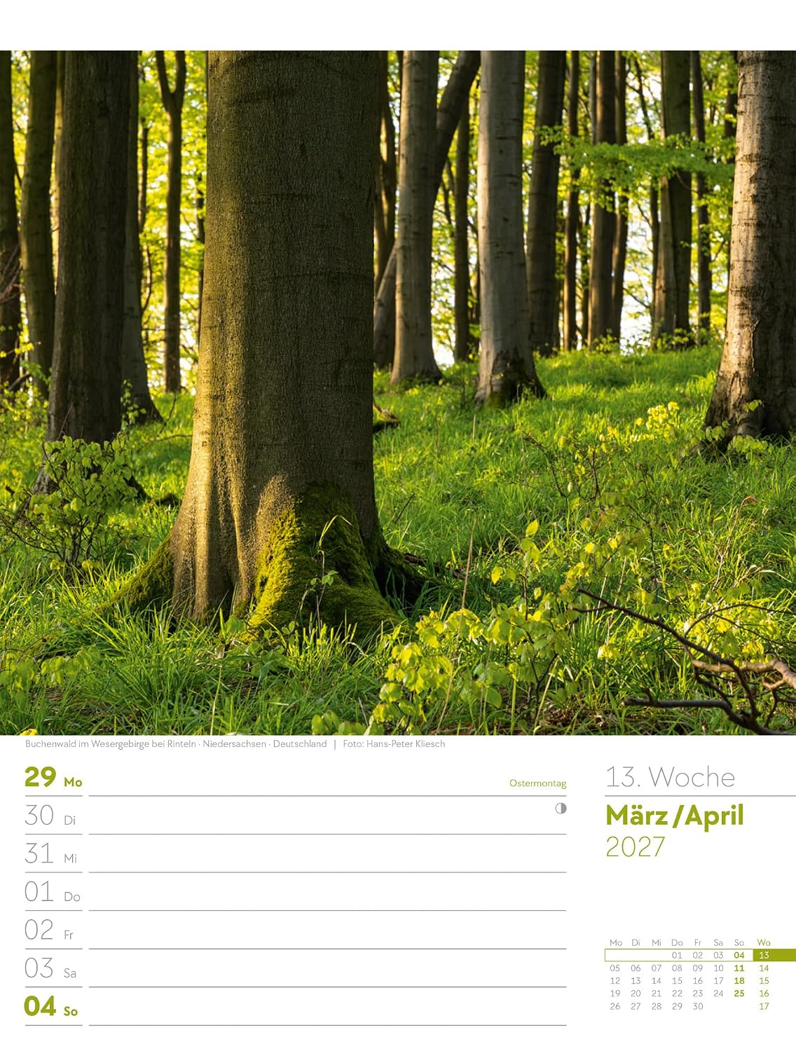 Unser Wald Wochenplaner Kalender 2027: Heimischer Natur-Wochenkalender im Hochformat (25x33 cm) | Mit Kreuzworträtseln, Sudokus & mehr – Bild 18