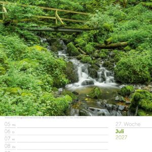 Unser Wald Wochenplaner Kalender 2027: Heimischer Natur-Wochenkalender im Hochformat (25x33 cm) | Mit Kreuzworträtseln, Sudokus & mehr – Bild 32