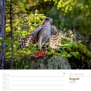 Unser Wald Wochenplaner Kalender 2027: Heimischer Natur-Wochenkalender im Hochformat (25x33 cm) | Mit Kreuzworträtseln, Sudokus & mehr – Bild 36