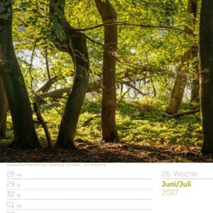 Unser Wald Wochenplaner Kalender 2027: Heimischer Natur-Wochenkalender im Hochformat (25x33 cm) | Mit Kreuzworträtseln, Sudokus & mehr – Bild 31