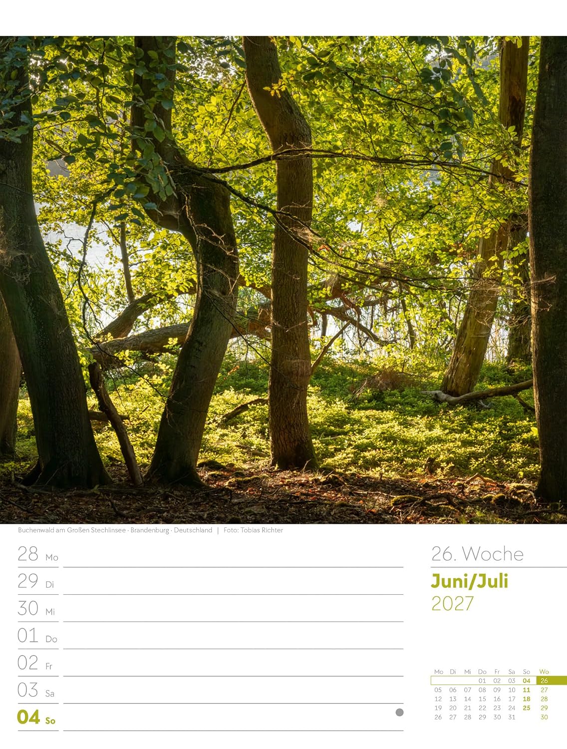 Unser Wald Wochenplaner Kalender 2027: Heimischer Natur-Wochenkalender im Hochformat (25x33 cm) | Mit Kreuzworträtseln, Sudokus & mehr – Bild 31