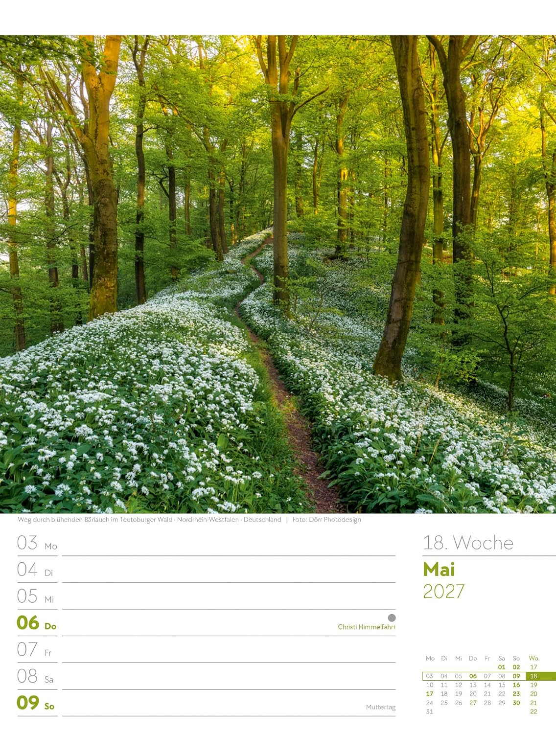 Unser Wald Wochenplaner Kalender 2027: Heimischer Natur-Wochenkalender im Hochformat (25x33 cm) | Mit Kreuzworträtseln, Sudokus & mehr – Bild 23