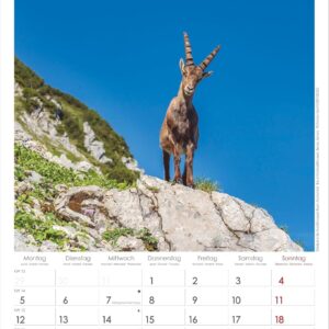 Alpen 2027: Wandkalender 23,7x34 cm mit 12 Alpenfotografien, 4-sprachigem Kalendarium und Platz für Notizen – Bild 3